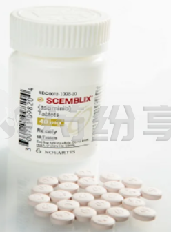 56df1ac7ba6fe6d10ddcf1b55725e12 2024013110003740988