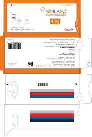 下载 2024030505224853830