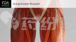 2024040104242517941
