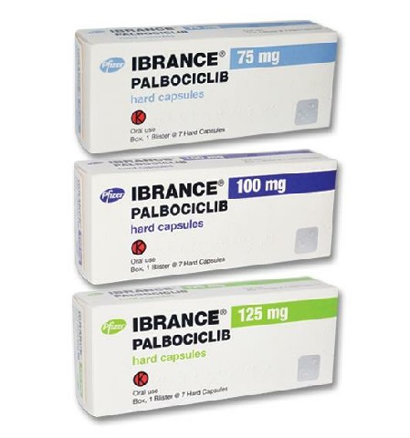 Ibrance6001PPS0 [最大宽度 640 最大高度 480]