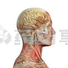 2025011303232511780
