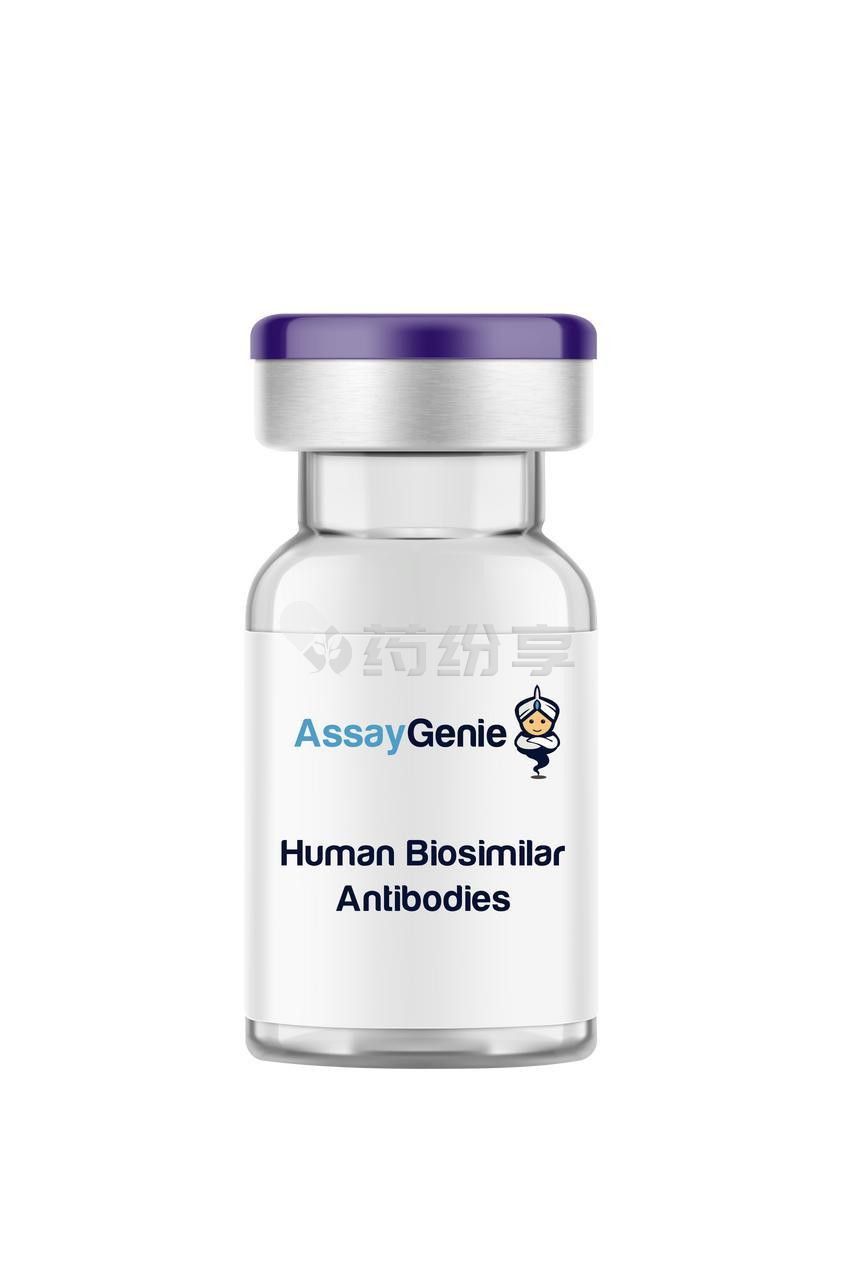 anti-human-pd-1-tislelizumab-ivmb0543__39894
