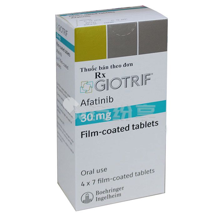 dgm_nttt_Giotrif-30mg 2025071811052070161