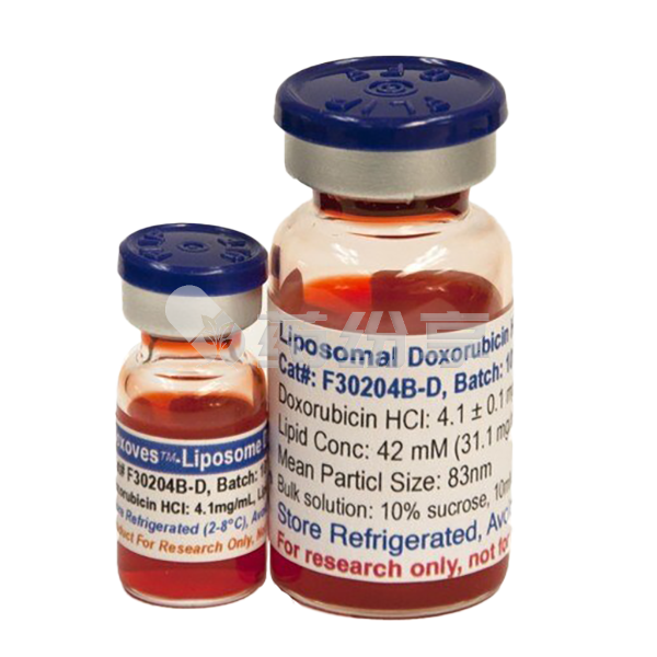 1 2025110609532833196