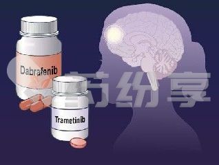 2026081001315629445