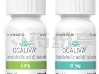 oclavia-2~1 2026081111332639373