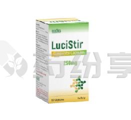 仿制版 2026081309233295795
